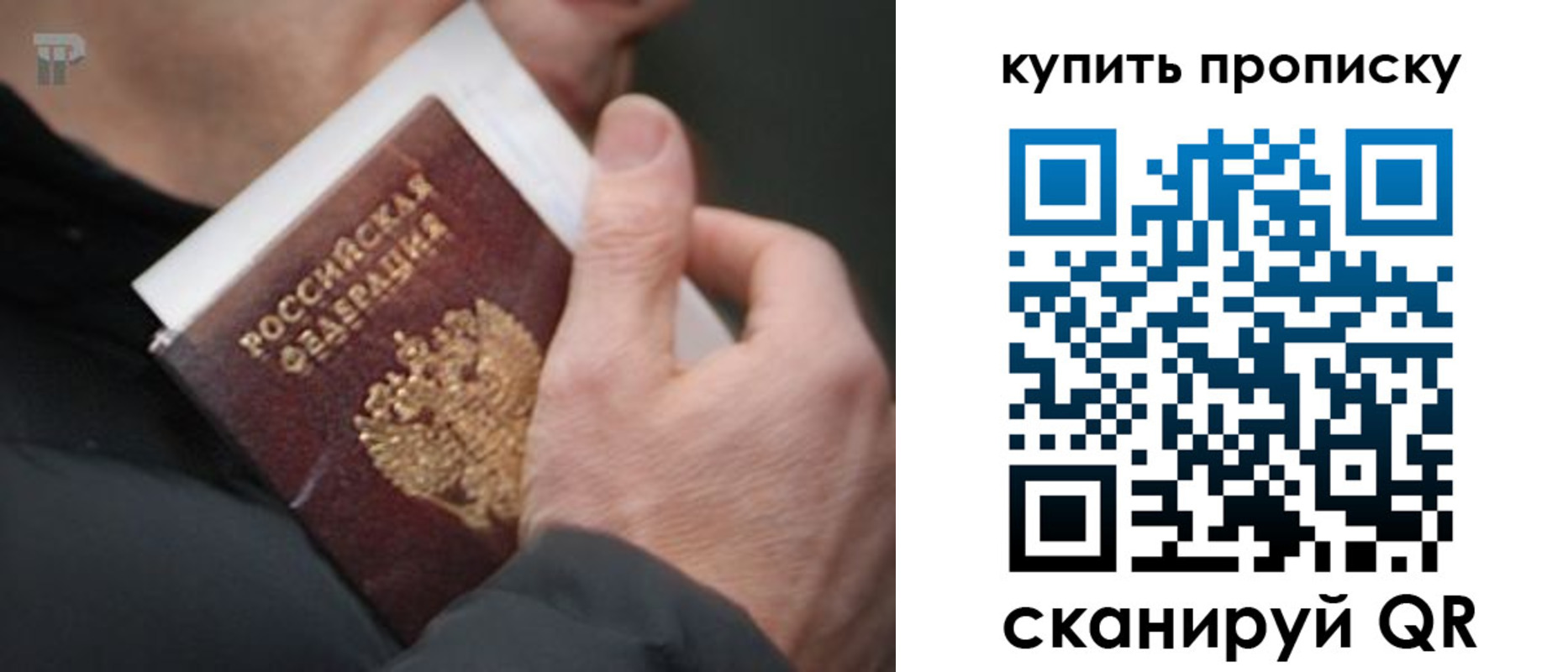 прописка гарантия в Балашихе